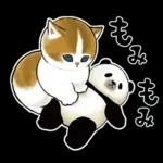 深夜はスマホを置いて😪😪