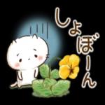 🌼春の息吹パッケージ