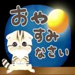 かわいい猫😺が来ますよ！