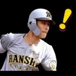 阪神タイガース