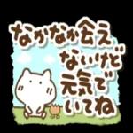  今日の癒しと元気をお届けますよ〜