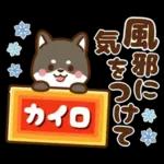 黒豆柴 あずき♡毎日使える 秋冬ver