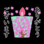ずっと使えるひとことメッセージ?