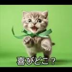 ENFPにゃんこスタンプ