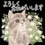 よろしく
おねがいします