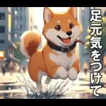 夏の天気をお知らせする柴犬【便利・日常】