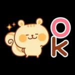 シマリスのマリーちゃん