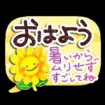 暑い日・夏のあいさつ