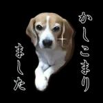 4時の楽しみ🥳🥳🥳	新しいスタンプを見逃さないで