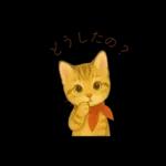子猫のとらの日常スタンプ