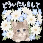 folv
D
ఎంధ్ర