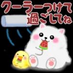 cute white Pomeranian summer 3