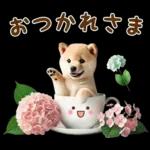 今日も頑張ったね！！