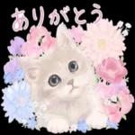 かわいらしい小さな花だ