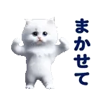 踊る！ペルシャ猫