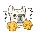 【動く】毎日使えるフレンチブルドッグ