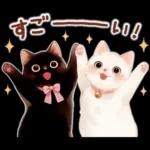 黒猫のつめあわせ♪