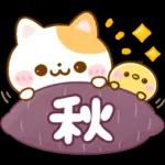 寒くなってきて、気をつけてね〜〜〜