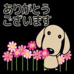 ありがとう
ございます