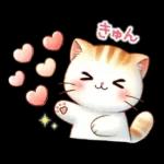 猫のつめあわせ【秋】
