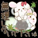 ぽっちゃりウサギ_5『晩夏～初秋』