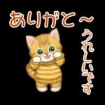 冬のキラキラおめめの子猫ちゃん
