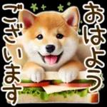 喜怒哀楽の激しい柴犬の野菜ダンス