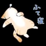 スナネコのサシャ 2