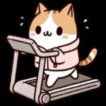 可愛くて使いやすい猫の癒しのスタンプです♪