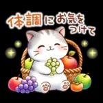 猫のつめあわせ【秋】