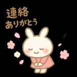 ✨白うさぎさん🐰 2