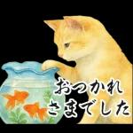 飛び出す【夏】ずっと使える大人のご挨拶