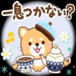 可愛い犬のスタンプです🐶〜わんわん〜