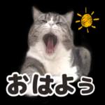 おはようございます