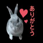 むーちゃんかわいこちゃんのスタンプ