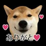 Premium 柴犬こてつ君*スタンプ第二弾