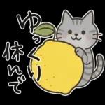 猫ちゃんとスイーツと夏