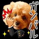 トイプーらっちゃんのなりきり編<日常言葉>
