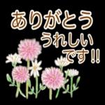 お疲れ様でした🤭