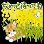 ころころ子猫 春の野原でかくれんぼ