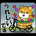 体が大事です👩🏻‍⚕️👩🏻‍⚕️👩🏻‍⚕️