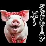 リアル☆メスブタ 3