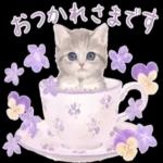 🌼春の息吹パッケージ