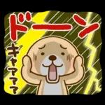台風に注意してくだいさい
