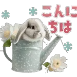 こんにちは