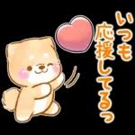 愛する人に感謝を送る❤️いやしばいぬ赤柴