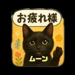 黒猫のムーンちゃん