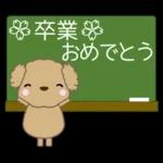 🐶犬の冒険物語