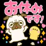 大人可愛い♡見やすいデカ文字♡パグちゃん