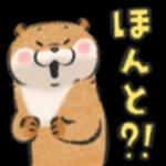 可愛い嘘のカワウソ❤️